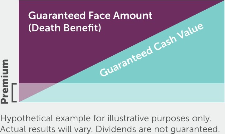 WL-and-CV Life Insurance